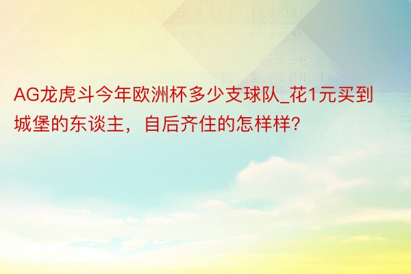 AG龙虎斗今年欧洲杯多少支球队_花1元买到城堡的东谈主，自后齐住的怎样样？